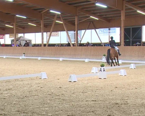 Reitturnier Grafenrheinfeld/Ufr. 2024