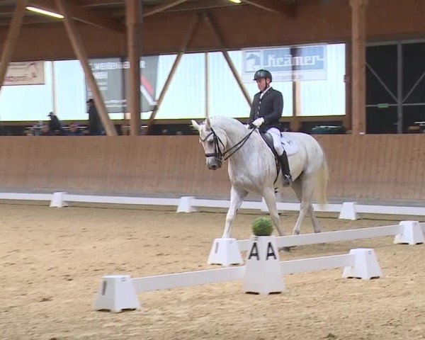 Reitturnier Grafenrheinfeld/Ufr. 2024