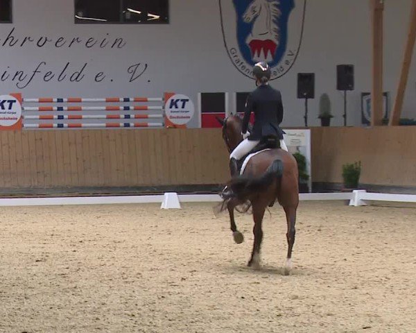 Reitturnier Grafenrheinfeld/Ufr. 2024