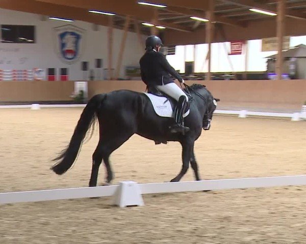 Reitturnier Grafenrheinfeld/Ufr. 2024