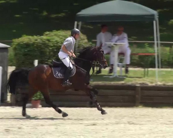 Landeschampionat Baden-Württemberg 2013