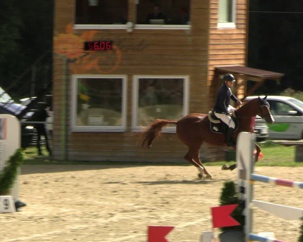 Reitturnier Bad Liebenstein/Sorga 2024