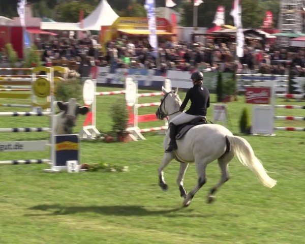Reitturnier Mühlengeez 2024