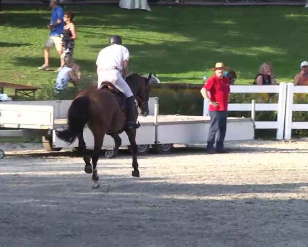 Landeschampionat Baden-Württemberg 2013