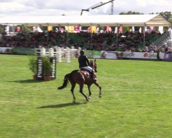 Reitturnier Mühlengeez 2024