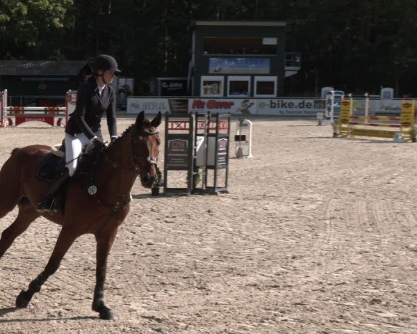 Reitturnier Dörpen 2024