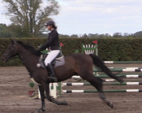 Reitturnier Lentzke - Reitanlage Krehl 2024