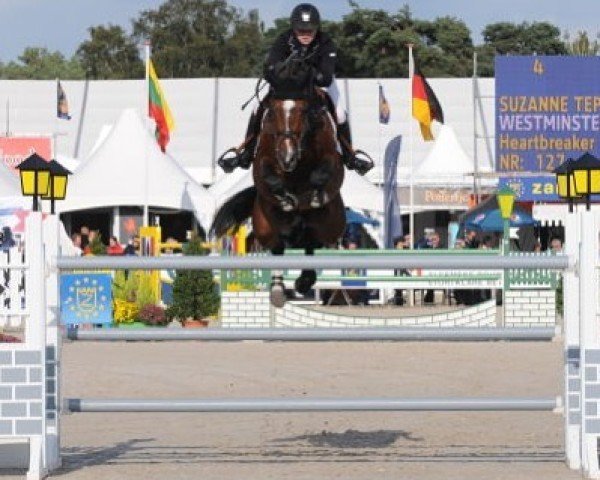 jumper Westminster Vdl (KWPN (Royal Dutch Sporthorse), 2003, from Heartbreaker)