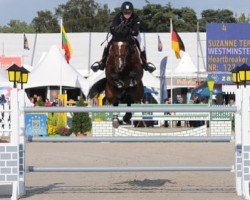 jumper Westminster Vdl (KWPN (Royal Dutch Sporthorse), 2003, from Heartbreaker)