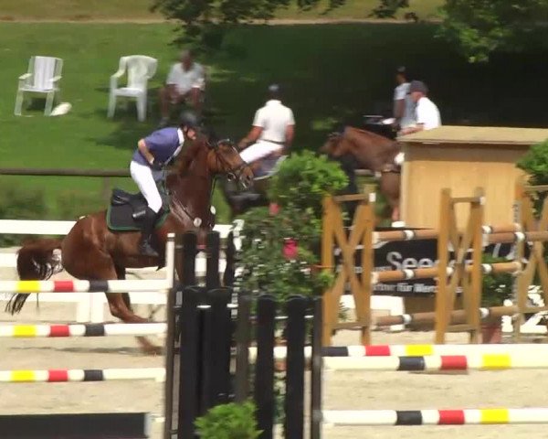 Landeschampionat Baden-Württemberg 2013