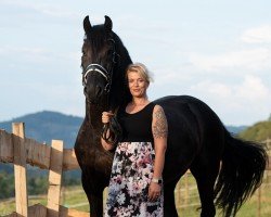 dressage horse Hayco fan'e Pikesyl (Friese, 2018, from Jurre 495)
