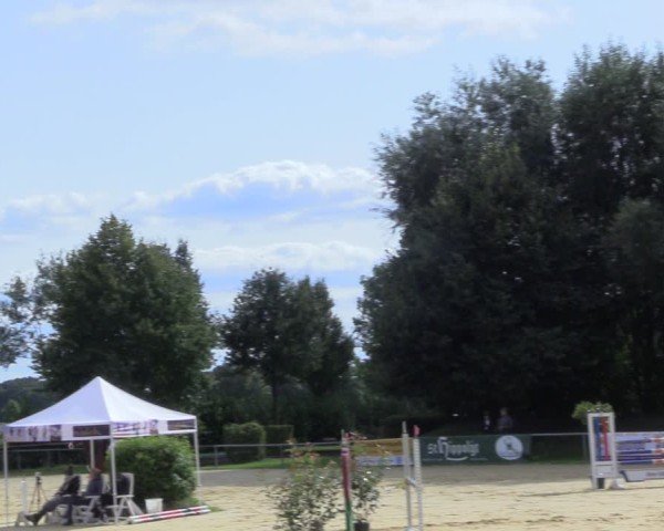 Reitturnier Seppenrade 2024