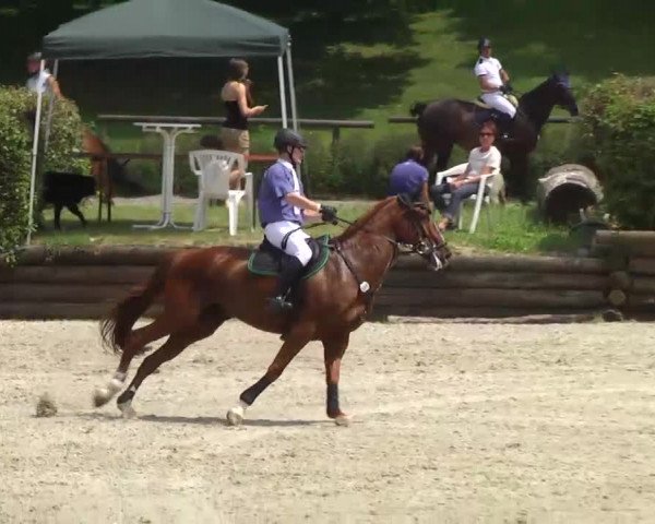 Landeschampionat Baden-Württemberg 2013