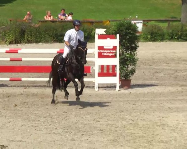 Landeschampionat Baden-Württemberg 2013