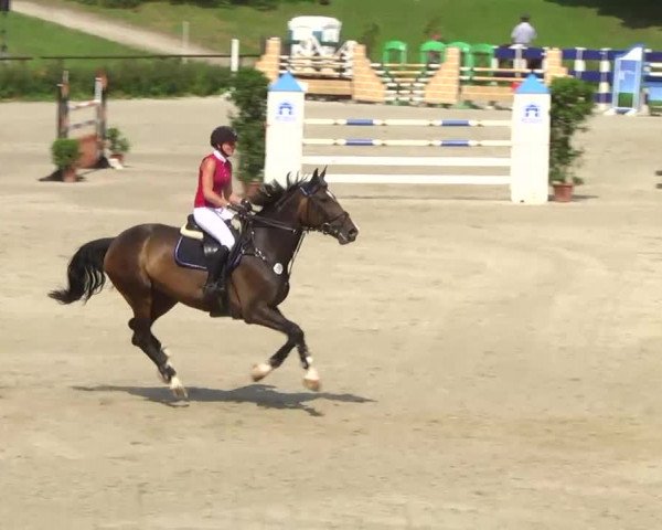 Landeschampionat Baden-Württemberg 2013