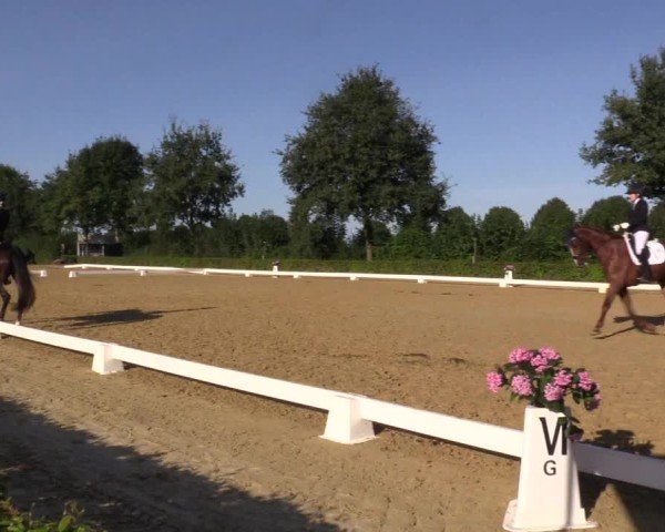 Reitturnier Seppenrade 2024