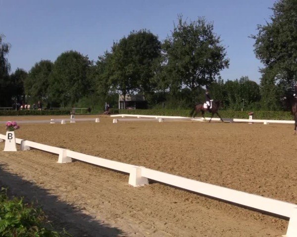 Reitturnier Seppenrade 2024