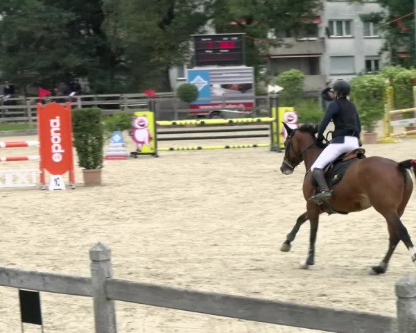 Pferdesporttage Neuendorf SO 2021