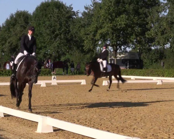 Reitturnier Seppenrade 2024