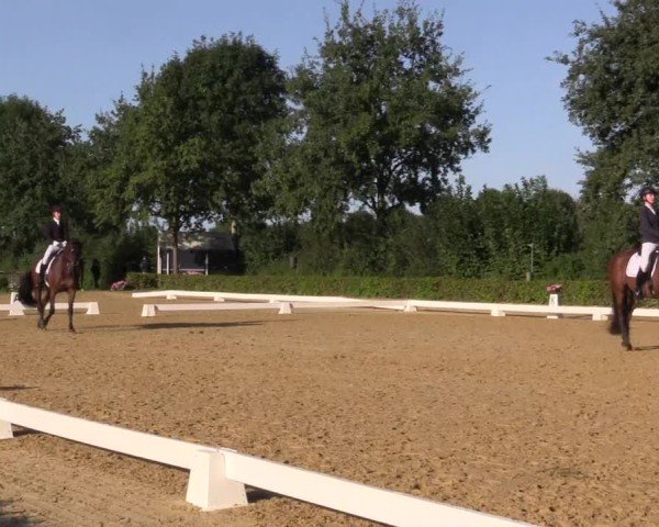 Reitturnier Seppenrade 2024