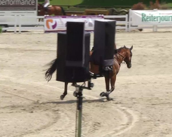 Landeschampionat Baden-Württemberg 2013