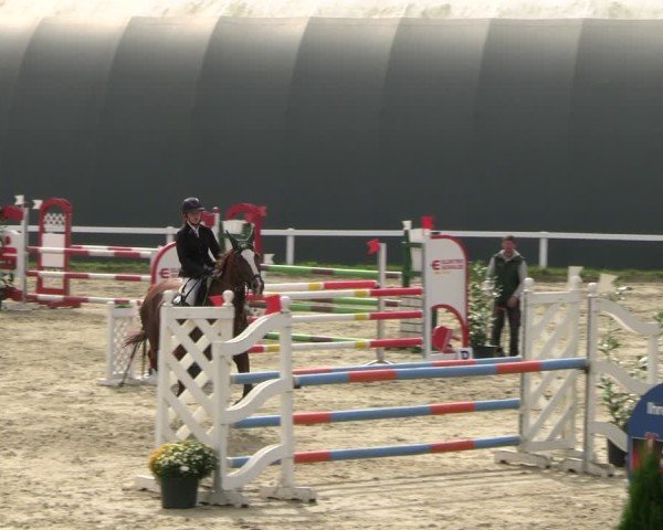 Reitturnier Bad Schmiedeberg 2024