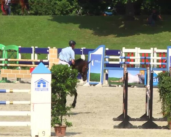 Landeschampionat Baden-Württemberg 2013