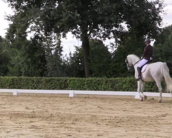 Reitturnier Seppenrade 2024