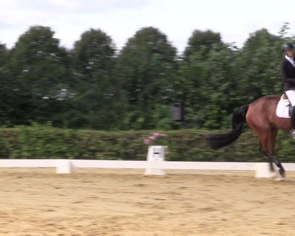 Reitturnier Seppenrade 2024