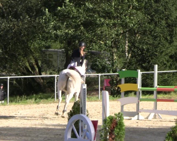 Reitturnier Bad Liebenstein/Sorga 2024