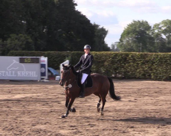Reitturnier Lentzke - Reitanlage Krehl 2024