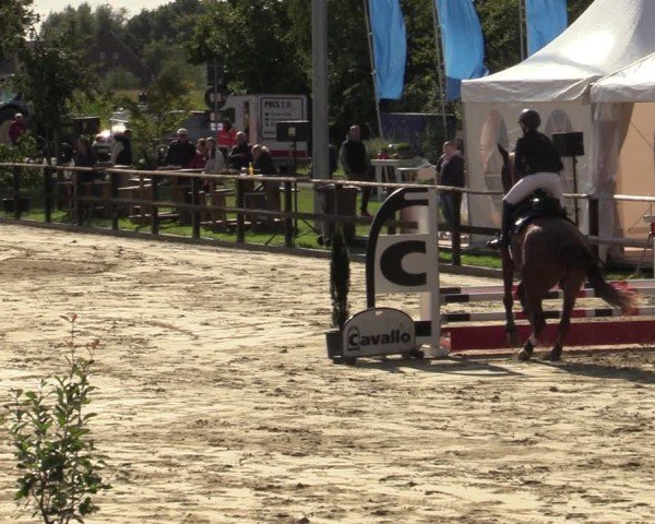 Reitturnier Albersloh 2024