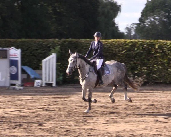 Reitturnier Lentzke - Reitanlage Krehl 2024