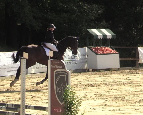 Reitturnier Albersloh 2024