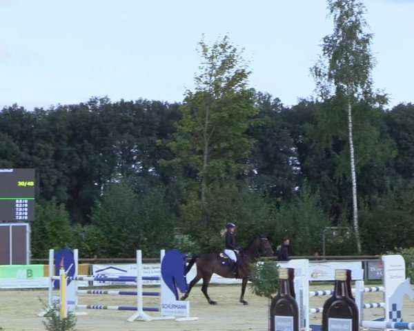 Reitturnier Seppenrade 2024