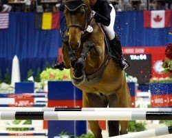 jumper Samson II (Swedish Warmblood, 2004, from VDL Cardento 933)