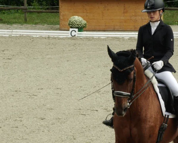 Reitturnier Ditzingen 2024