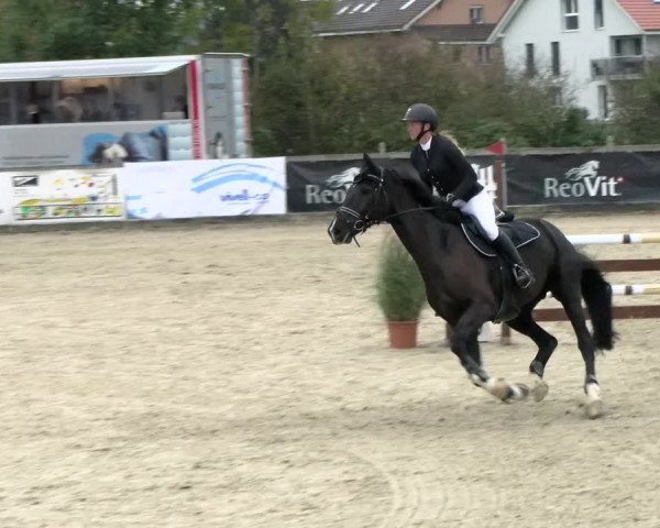 Pferdesporttage Neuendorf SO 2021