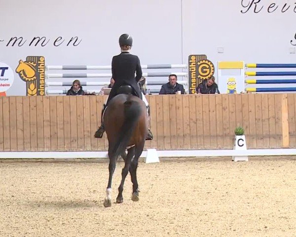 Reitturnier Grafenrheinfeld/Ufr. 2024