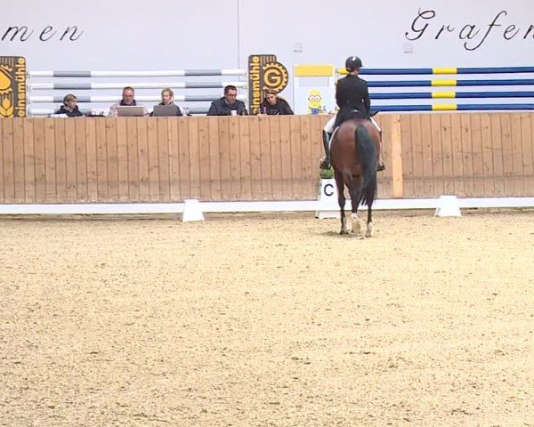 Reitturnier Grafenrheinfeld/Ufr. 2024