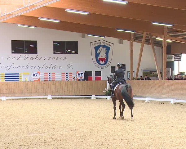 Reitturnier Grafenrheinfeld/Ufr. 2024