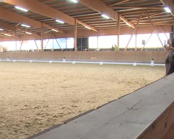 Reitturnier Grafenrheinfeld/Ufr. 2024