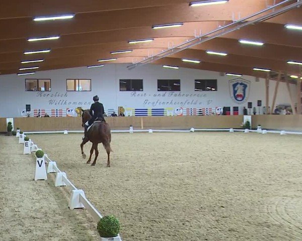 Reitturnier Grafenrheinfeld/Ufr. 2024