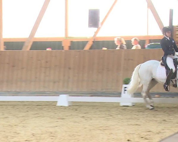 Reitturnier Grafenrheinfeld/Ufr. 2024