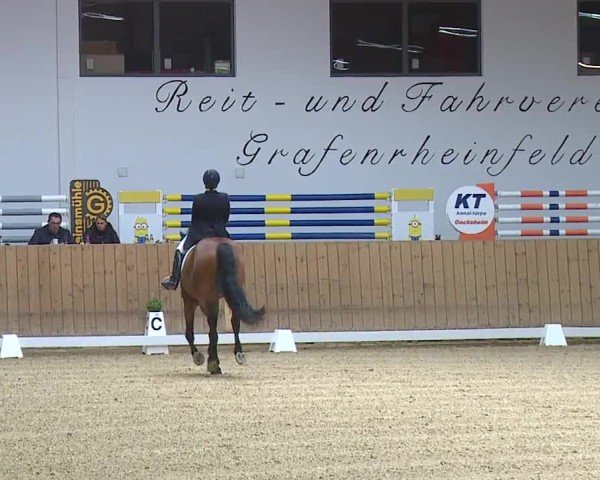 Reitturnier Grafenrheinfeld/Ufr. 2024
