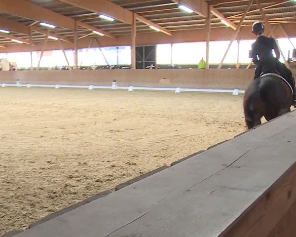 Reitturnier Grafenrheinfeld/Ufr. 2024