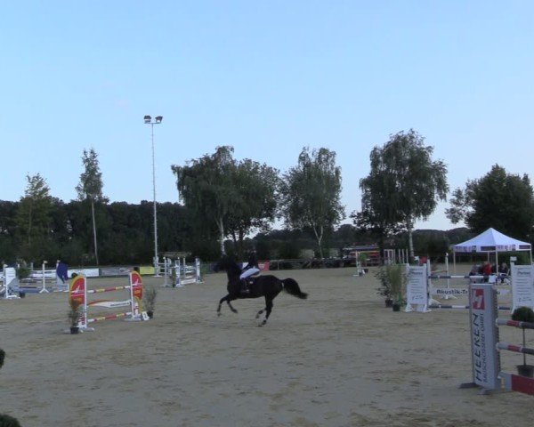 Reitturnier Seppenrade 2024