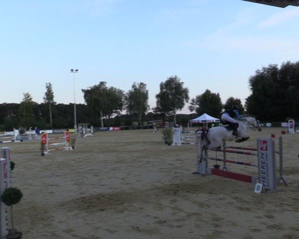 Reitturnier Seppenrade 2024