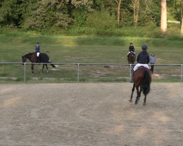 Reitturnier Bad Liebenstein/Sorga 2024