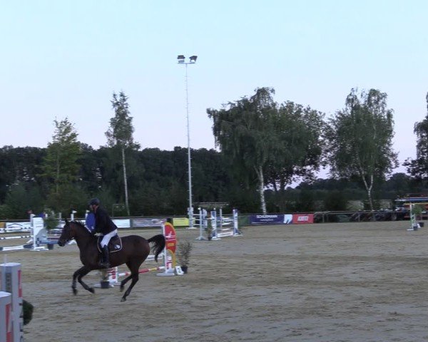 Reitturnier Seppenrade 2024